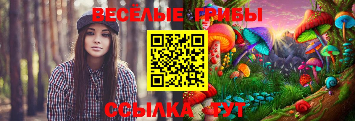 Галлюциногенные грибы мухоморы  Вход с VPN  Салехард 