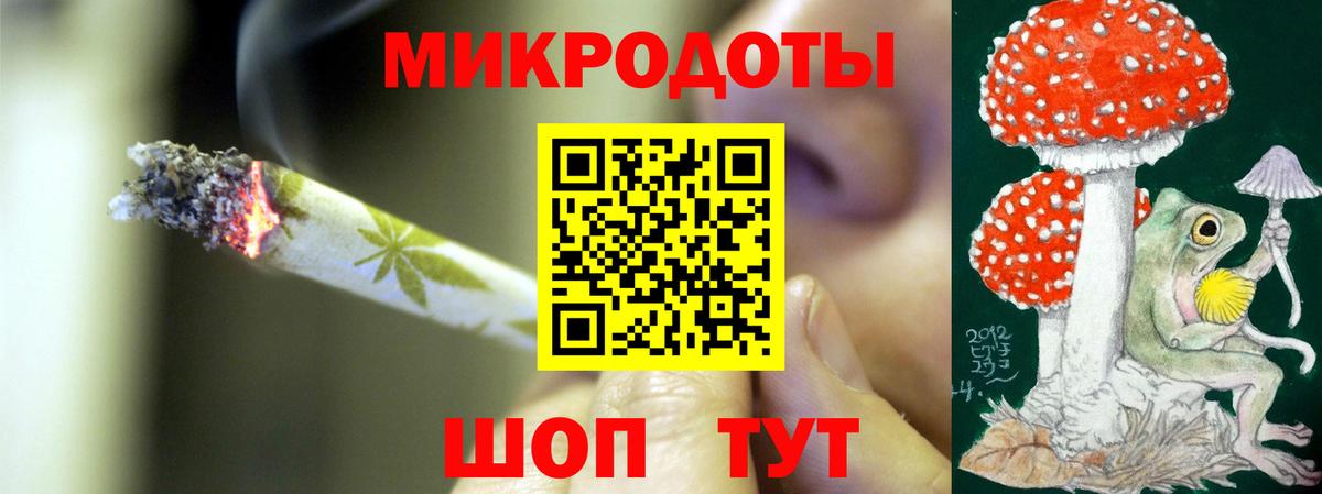 Псилоцибиновые грибы Psilocybe Салехард